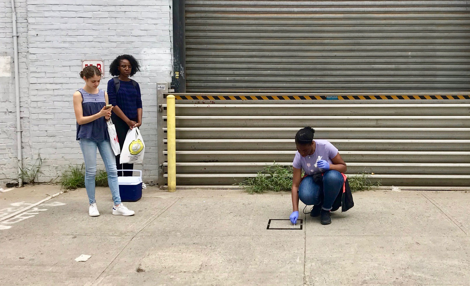 ARISE students researching at the Gowanus